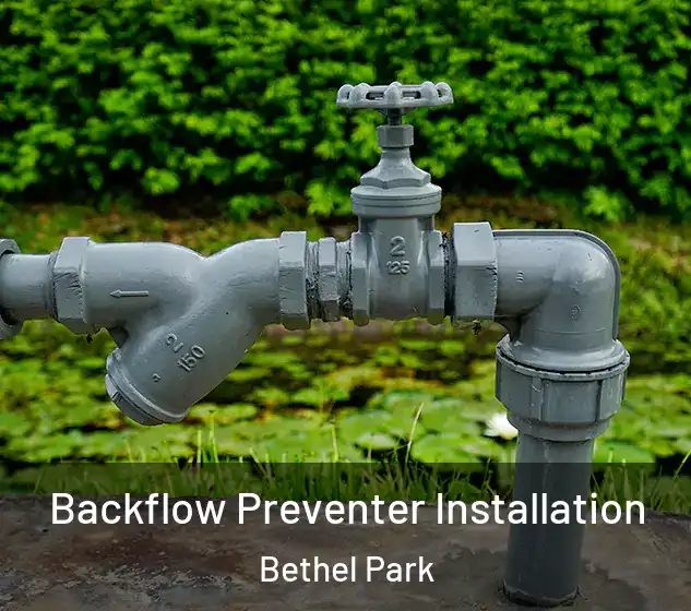  Backflow Preventer Installation Bethel Park