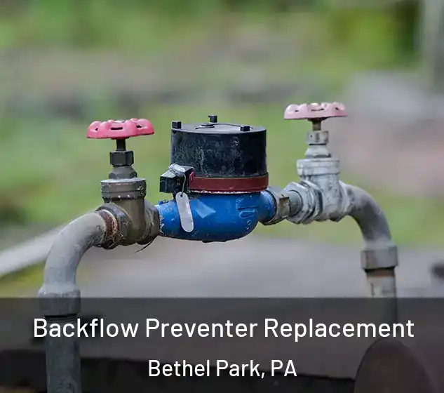  Backflow Preventer Replacement Bethel Park, PA