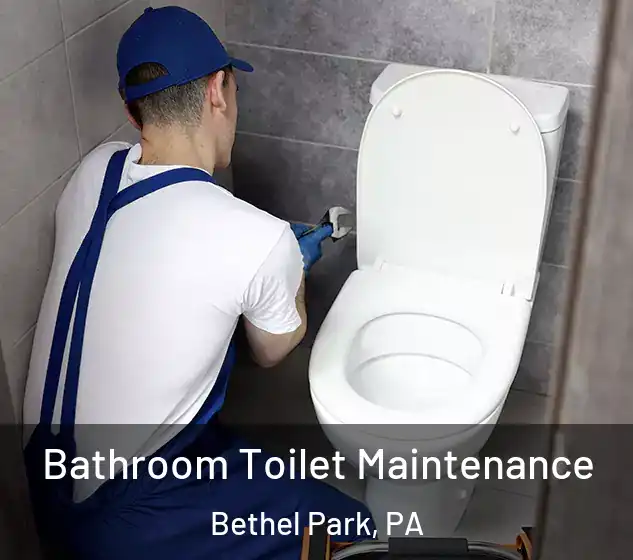  Bathroom Toilet Maintenance Bethel Park, PA