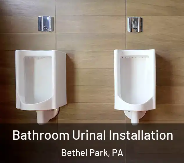  Bathroom Urinal Installation Bethel Park, PA
