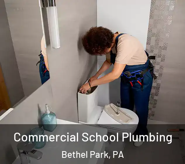  Commercial School Plumbing Bethel Park, PA