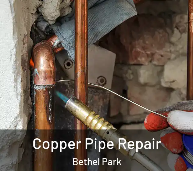  Copper Pipe Repair Bethel Park