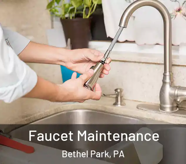  Faucet Maintenance Bethel Park, PA
