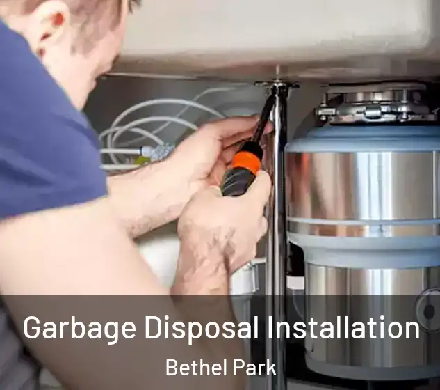  Garbage Disposal Installation Bethel Park