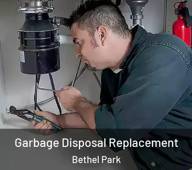  Garbage Disposal Replacement Bethel Park