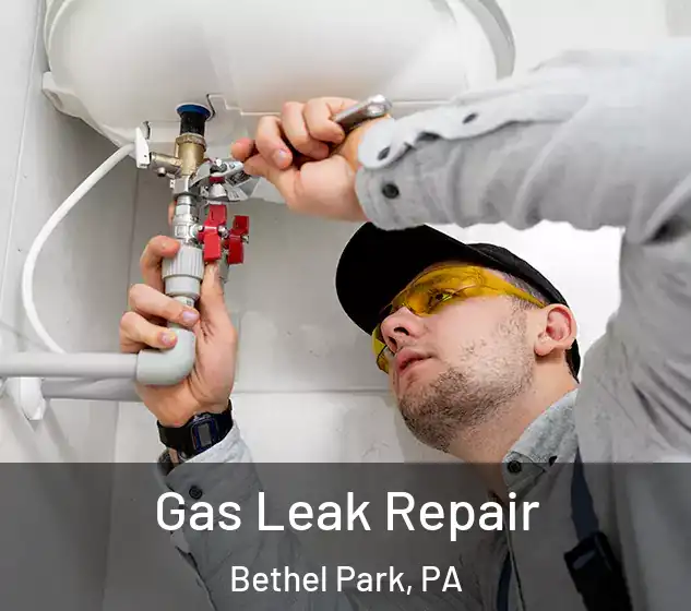  Gas Leak Repair Bethel Park, PA