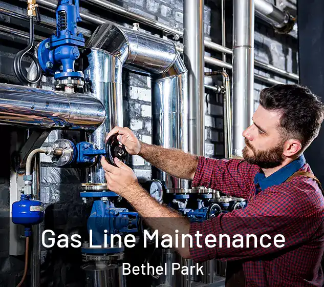  Gas Line Maintenance Bethel Park