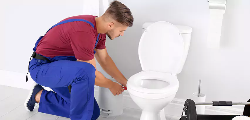 Scope of Bathroom Toilet Bowl Replacement Services in Bethel Park, PA