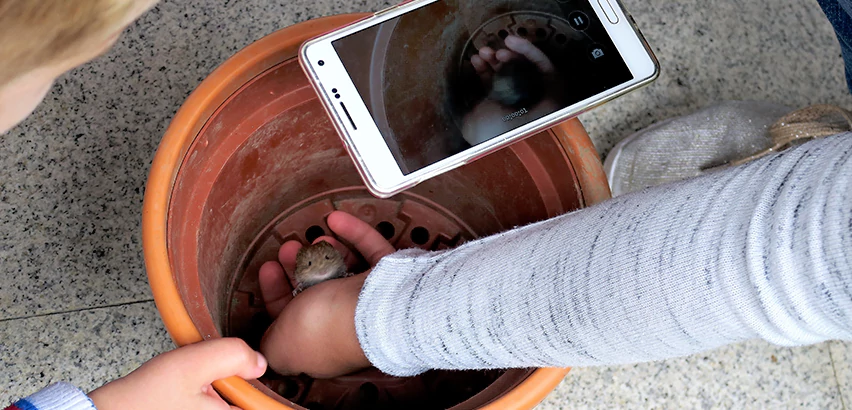 Scope of Drain Camera Inspection Services in Bethel Park, PA