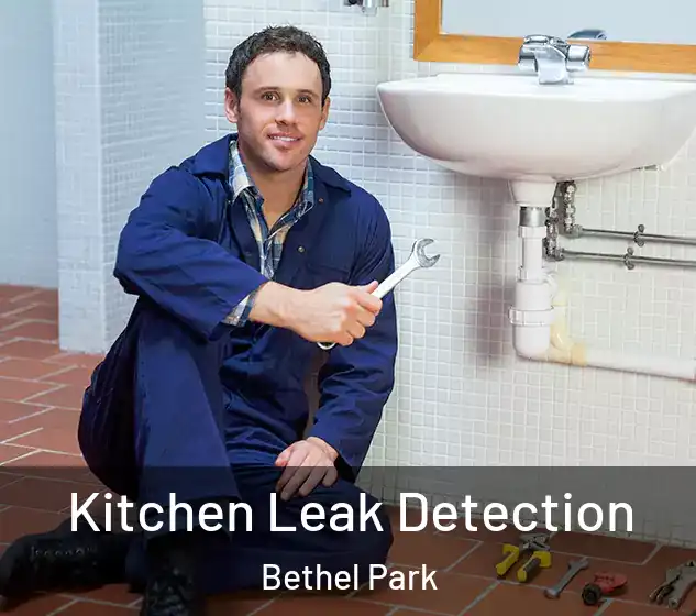  Kitchen Leak Detection Bethel Park
