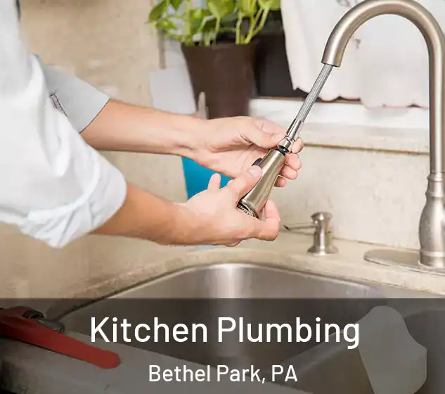  Kitchen Plumbing Bethel Park, PA