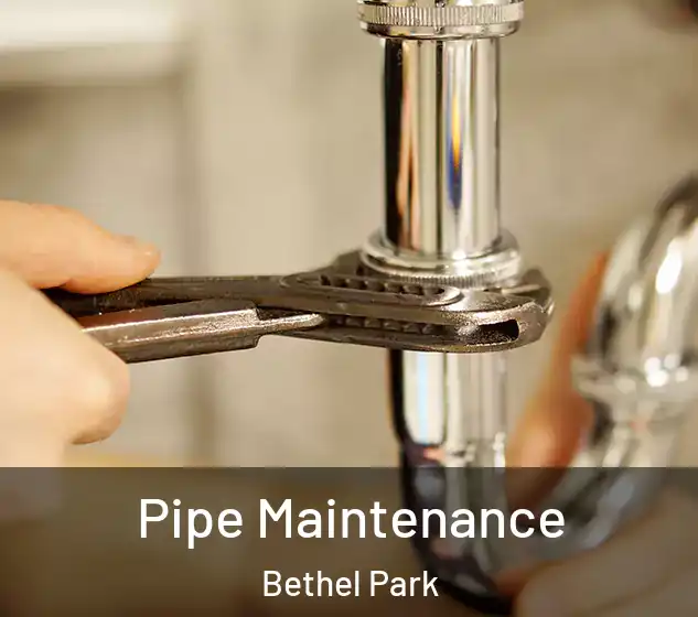  Pipe Maintenance Bethel Park