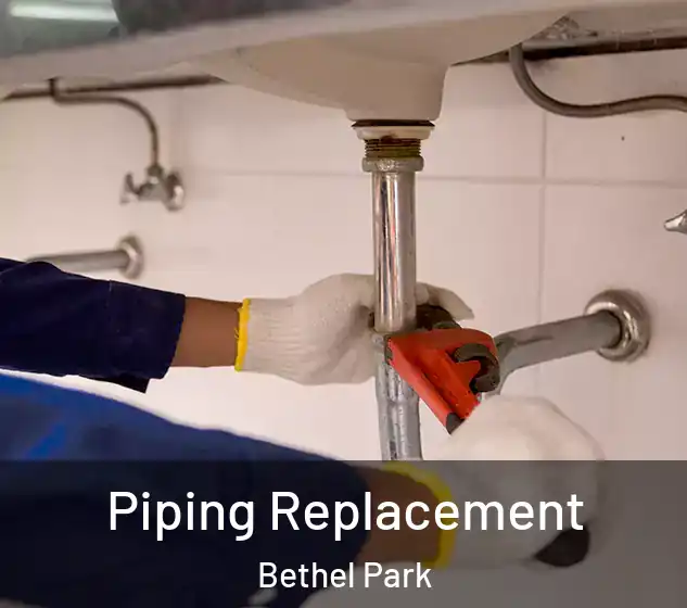  Piping Replacement Bethel Park