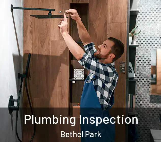  Plumbing Inspection Bethel Park