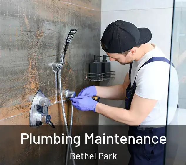  Plumbing Maintenance Bethel Park