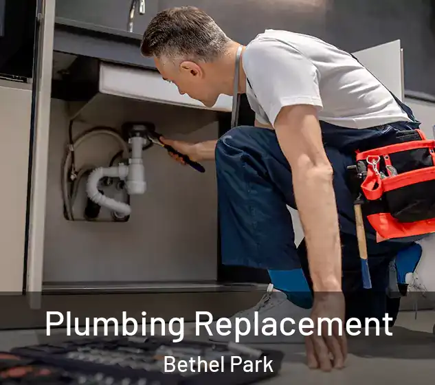  Plumbing Replacement Bethel Park
