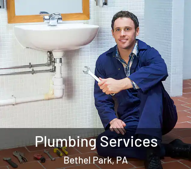  Plumbing Services Bethel Park, PA