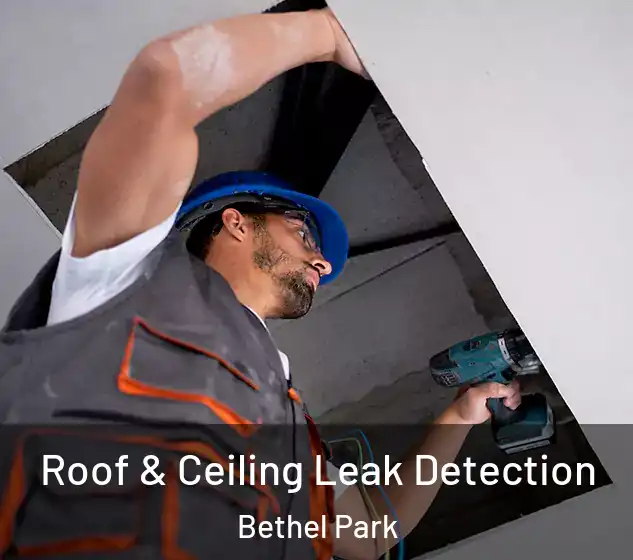  Roof & Ceiling Leak Detection Bethel Park