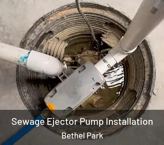  Sewage Ejector Pump Installation Bethel Park