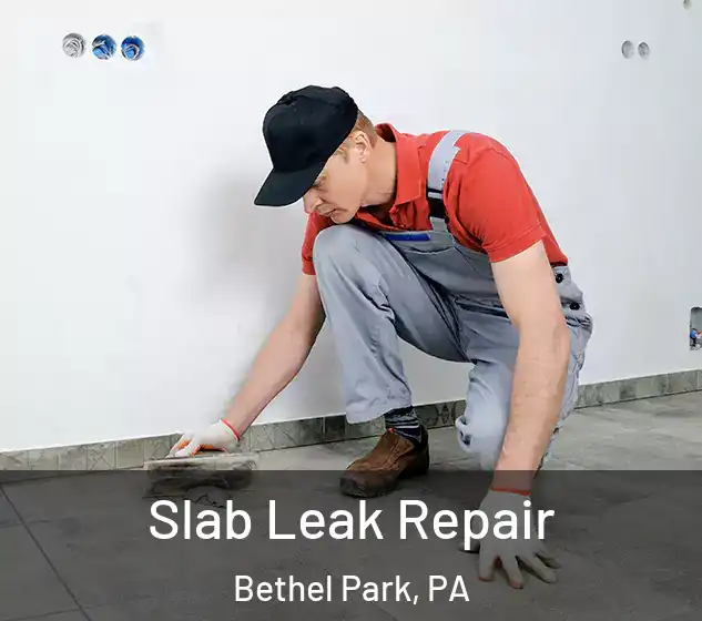  Slab Leak Repair Bethel Park, PA