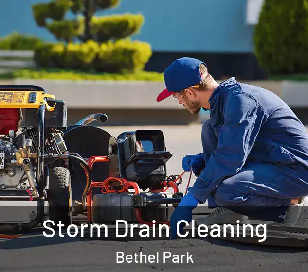  Storm Drain Cleaning Bethel Park
