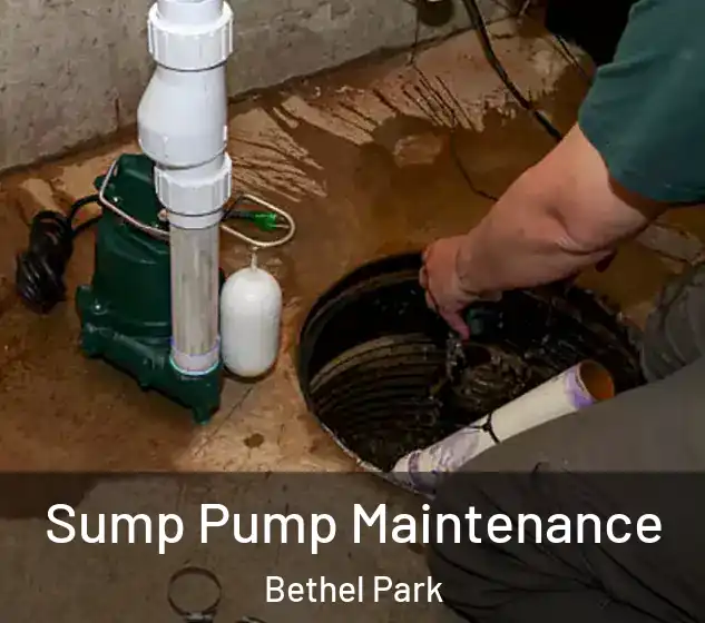  Sump Pump Maintenance Bethel Park