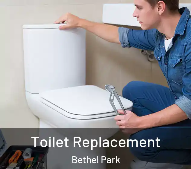  Toilet Replacement Bethel Park