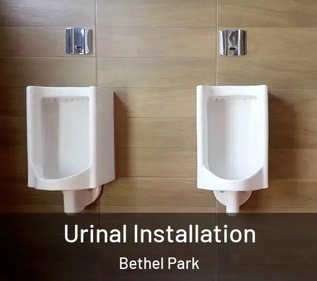  Urinal Installation Bethel Park