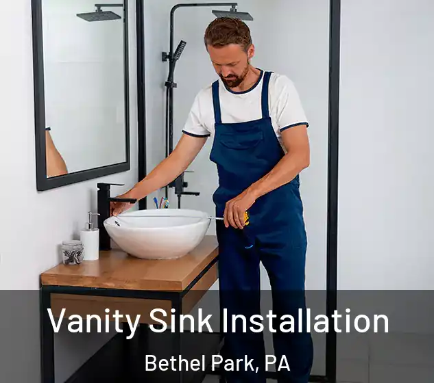  Vanity Sink Installation Bethel Park, PA