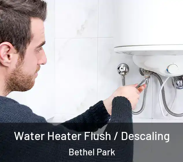  Water Heater Flush / Descaling Bethel Park
