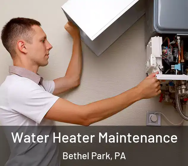  Water Heater Maintenance Bethel Park, PA