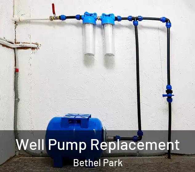  Well Pump Replacement Bethel Park